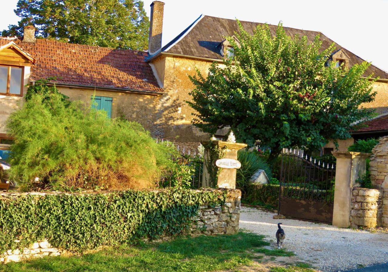 La Vieille Ferme: Superbe Complexe De 3 Gites En Pierre Avec Piscine Au Coeur Du Perigord Noir Saint-Genies ภายนอก รูปภาพ